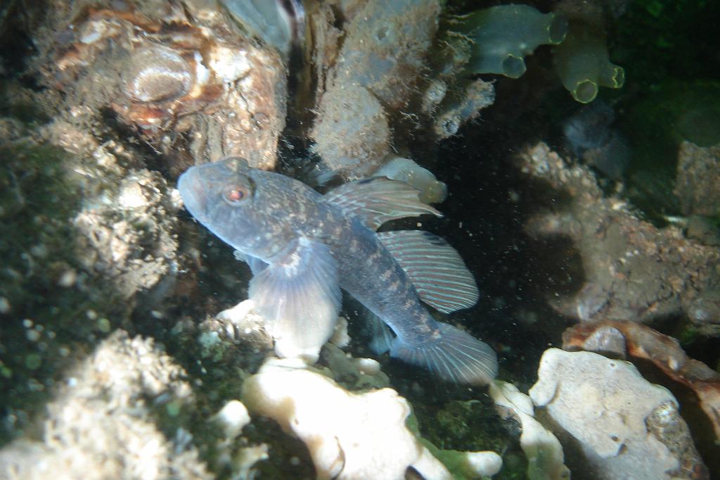 2008-10-04 12-18-05.JPG